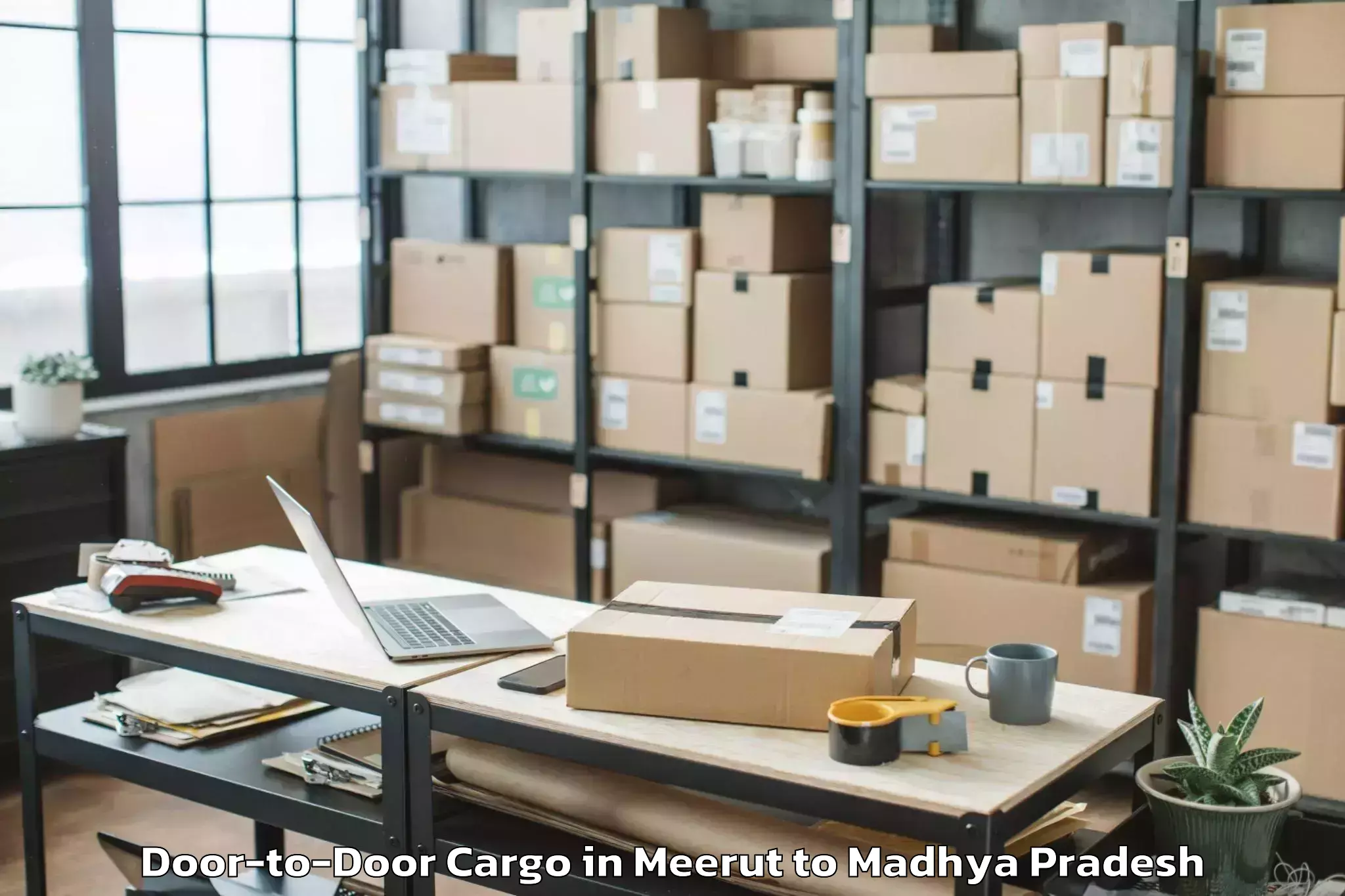 Book Meerut to Thikri Door To Door Cargo Online